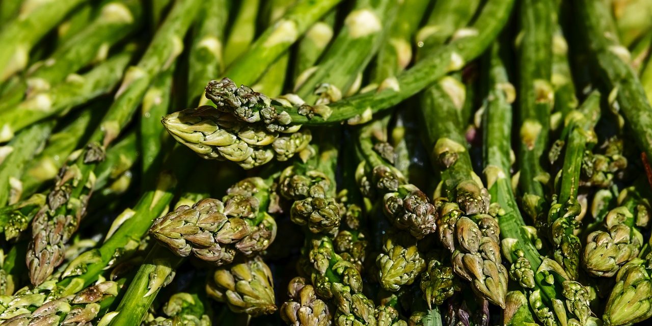 Asparagi alla polacca