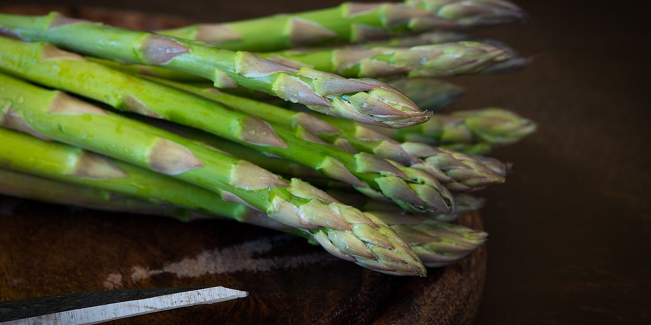 Lasagne agli asparagi