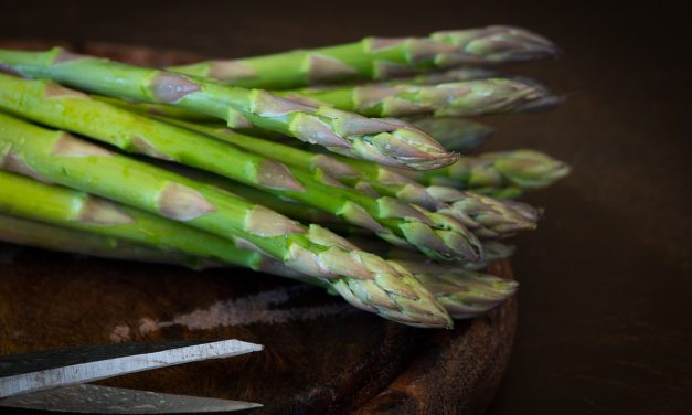 Lasagne agli asparagi