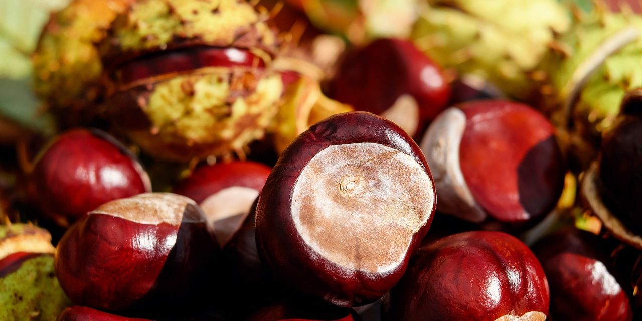 RISOTTO ALLE CASTAGNE