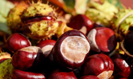 RISOTTO ALLE CASTAGNE
