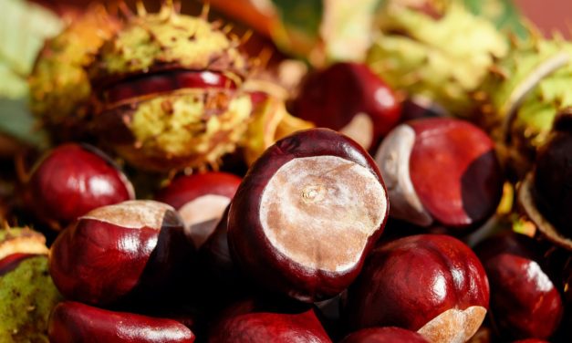 RISOTTO ALLE CASTAGNE