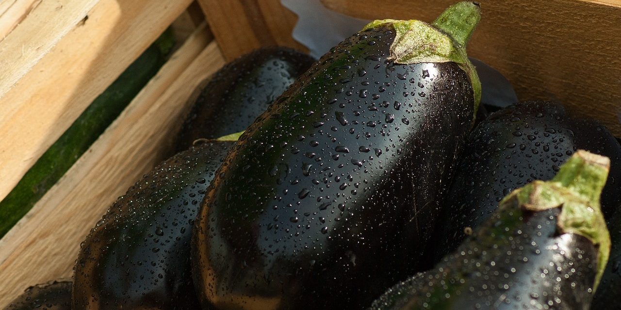 Melanzane  con sughetto