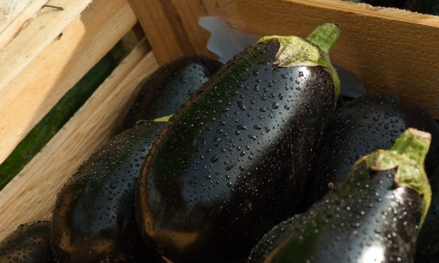 Melanzane  con sughetto