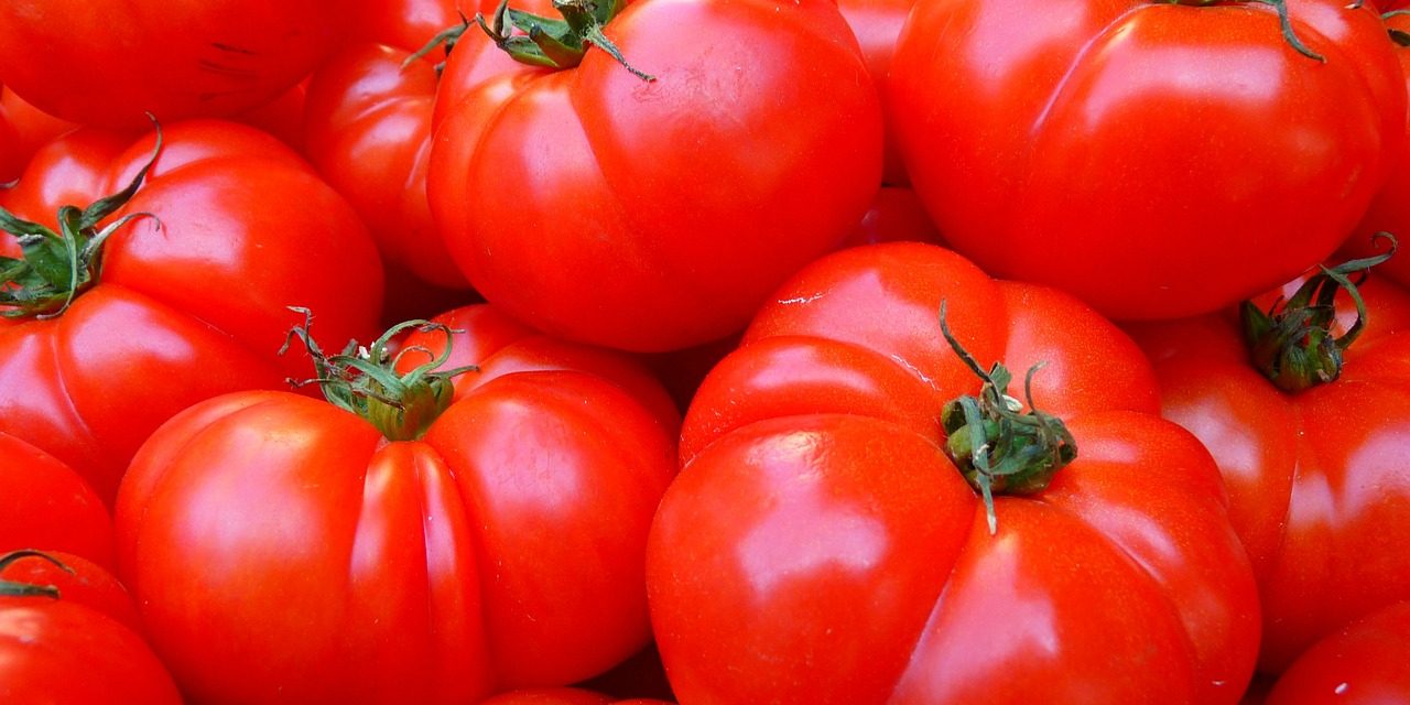 Pomodori ripieni al tonno