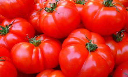 Pomodori ripieni al tonno
