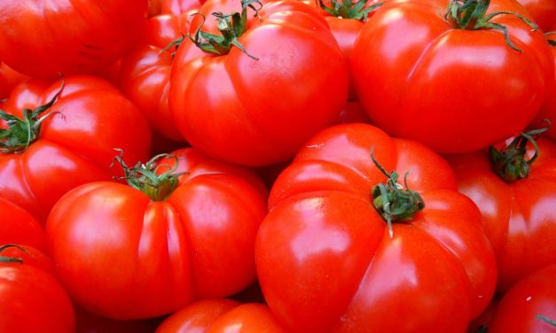 Pomodori ripieni al tonno