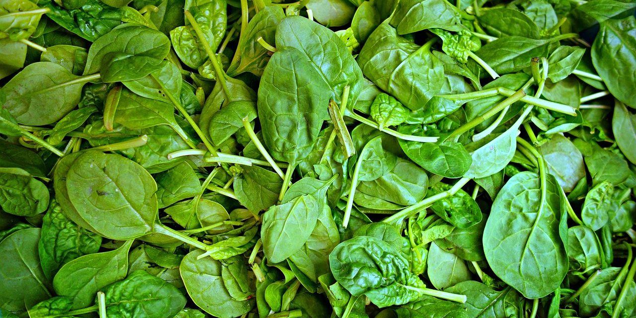 Minestra con spinaci