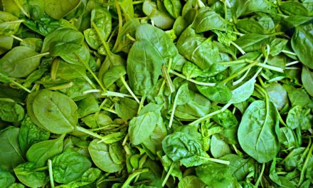 Minestra con spinaci