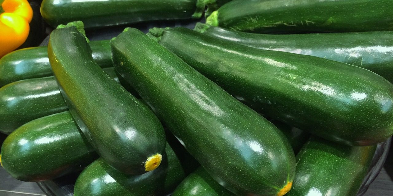 Crema di zucchine